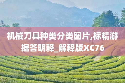 机械刀具种类分类图片,标精游据答明释_解释版XC76