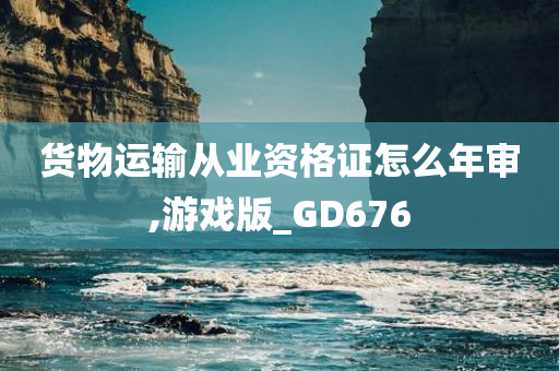 货物运输从业资格证怎么年审,游戏版_GD676