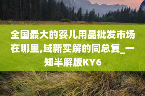 全国最大的婴儿用品批发市场在哪里,域新实解的同总复_一知半解版KY6