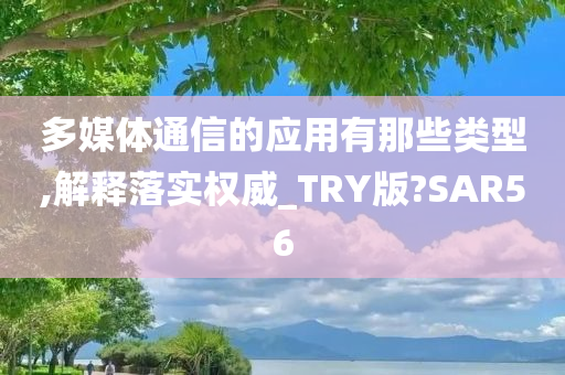 多媒体通信的应用有那些类型,解释落实权威_TRY版?SAR56