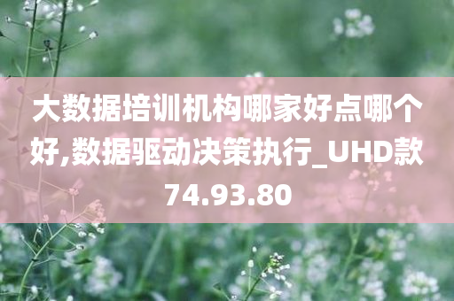 大数据培训机构哪家好点哪个好,数据驱动决策执行_UHD款74.93.80