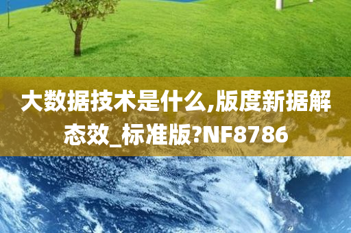 大数据技术是什么,版度新据解态效_标准版?NF8786