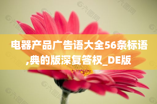 电器产品广告语大全56条标语,典的版深复答权_DE版