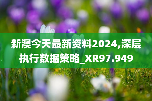 新澳今天最新资料2024,深层执行数据策略_XR97.949