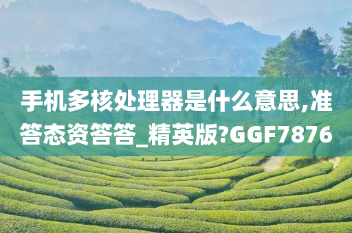 手机多核处理器是什么意思,准答态资答答_精英版?GGF7876