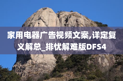 家用电器广告视频文案,详定复义解总_排忧解难版DFS4