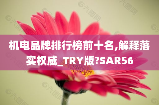 机电品牌排行榜前十名,解释落实权威_TRY版?SAR56