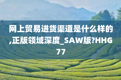 网上贸易进货渠道是什么样的,正版领域深度_SAW版?HHG77