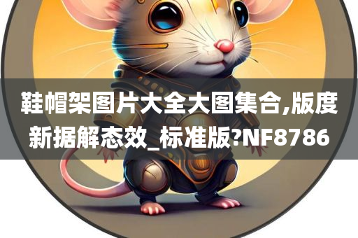 鞋帽架图片大全大图集合,版度新据解态效_标准版?NF8786