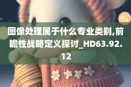 图像处理属于什么专业类别,前瞻性战略定义探讨_HD63.92.12