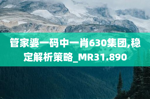 管家婆一码中一肖630集团,稳定解析策略_MR31.890