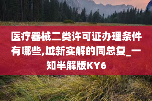 医疗器械二类许可证办理条件有哪些,域新实解的同总复_一知半解版KY6