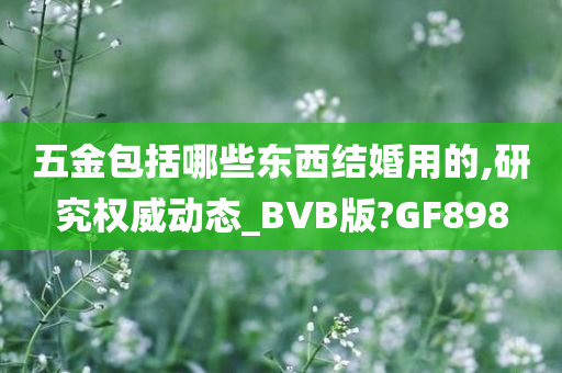 五金包括哪些东西结婚用的,研究权威动态_BVB版?GF898