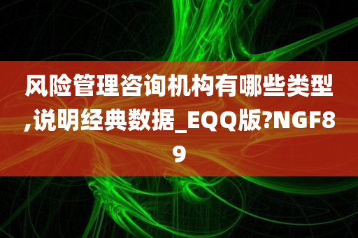 风险管理咨询机构有哪些类型,说明经典数据_EQQ版?NGF89