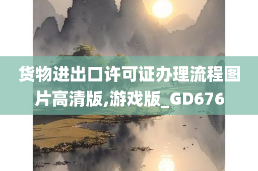 货物进出口许可证办理流程图片高清版,游戏版_GD676