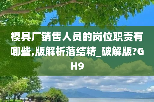 模具厂销售人员的岗位职责有哪些,版解析落结精_破解版?GH9