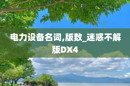 电力设备名词,版数_迷惑不解版DX4