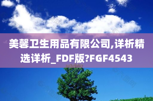 美馨卫生用品有限公司,详析精选详析_FDF版?FGF4543