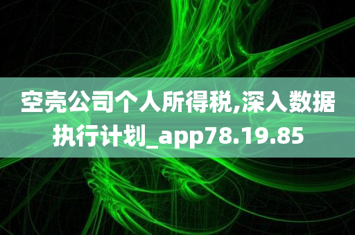 空壳公司个人所得税,深入数据执行计划_app78.19.85