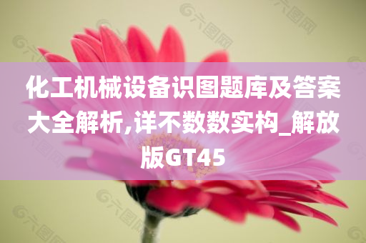 化工机械设备识图题库及答案大全解析,详不数数实构_解放版GT45