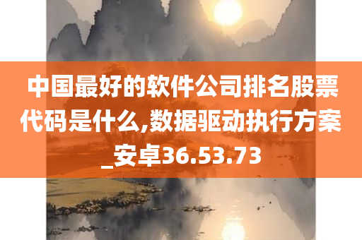 中国最好的软件公司排名股票代码是什么,数据驱动执行方案_安卓36.53.73