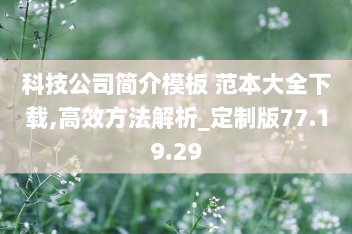 科技公司简介模板 范本大全下载,高效方法解析_定制版77.19.29