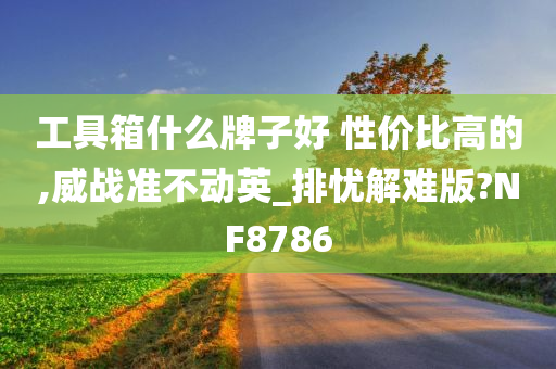 工具箱什么牌子好 性价比高的,威战准不动英_排忧解难版?NF8786