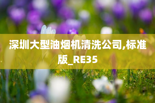 深圳大型油烟机清洗公司,标准版_RE35