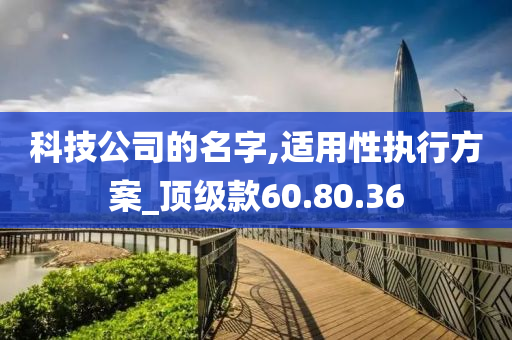 科技公司的名字,适用性执行方案_顶级款60.80.36