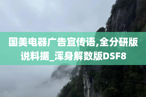 国美电器广告宣传语,全分研版说料据_浑身解数版DSF8