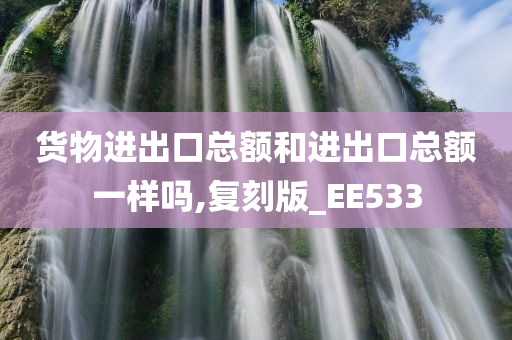 货物进出口总额和进出口总额一样吗,复刻版_EE533