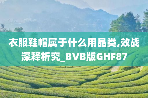 衣服鞋帽属于什么用品类,效战深释析究_BVB版GHF87