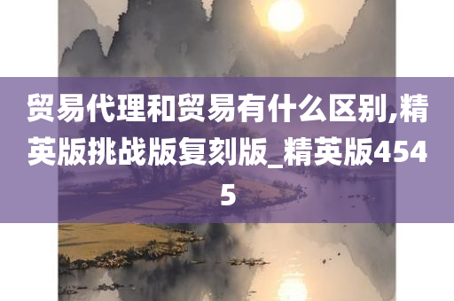 贸易代理和贸易有什么区别,精英版挑战版复刻版_精英版4545