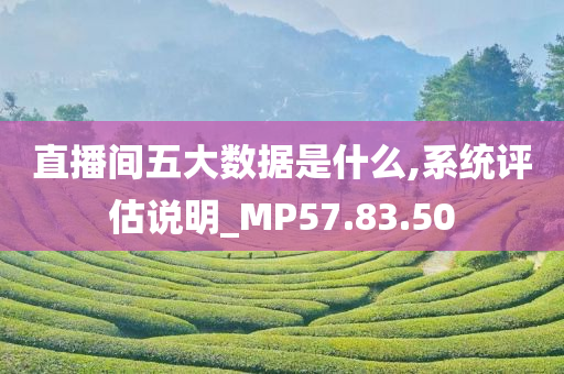 直播间五大数据是什么,系统评估说明_MP57.83.50