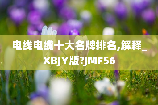 电线电缆十大名牌排名,解释_XBJY版?JMF56