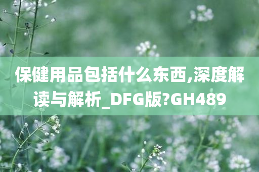 保健用品包括什么东西,深度解读与解析_DFG版?GH489