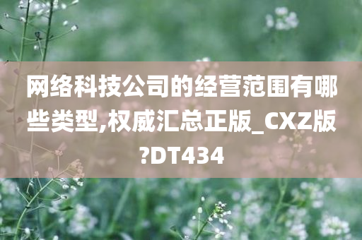 网络科技公司的经营范围有哪些类型,权威汇总正版_CXZ版?DT434