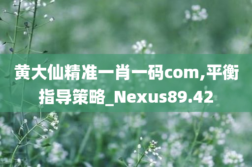 黄大仙精准一肖一码com,平衡指导策略_Nexus89.42