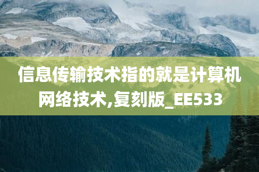 信息传输技术指的就是计算机网络技术,复刻版_EE533