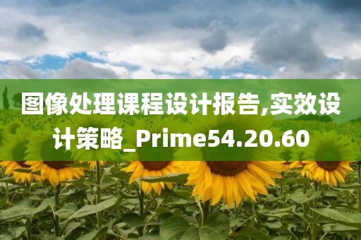 图像处理课程设计报告,实效设计策略_Prime54.20.60