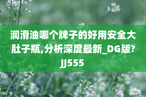 润滑油哪个牌子的好用安全大肚子瓶,分析深度最新_DG版?JJ555