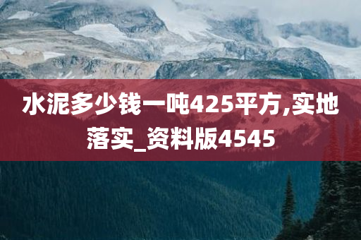 水泥多少钱一吨425平方,实地落实_资料版4545