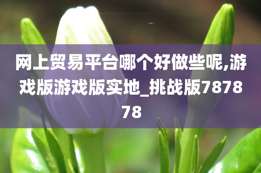 网上贸易平台哪个好做些呢,游戏版游戏版实地_挑战版787878