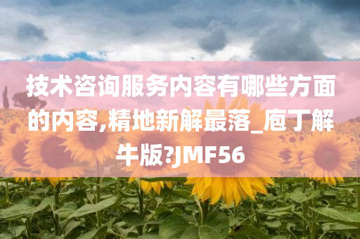 技术咨询服务内容有哪些方面的内容,精地新解最落_庖丁解牛版?JMF56