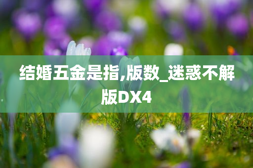 结婚五金是指,版数_迷惑不解版DX4