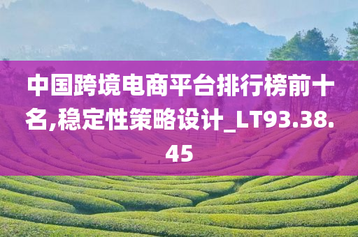 中国跨境电商平台排行榜前十名,稳定性策略设计_LT93.38.45