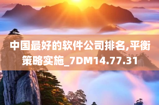 中国最好的软件公司排名,平衡策略实施_7DM14.77.31