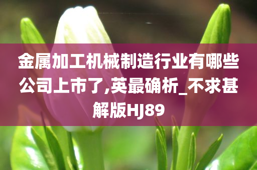 金属加工机械制造行业有哪些公司上市了,英最确析_不求甚解版HJ89