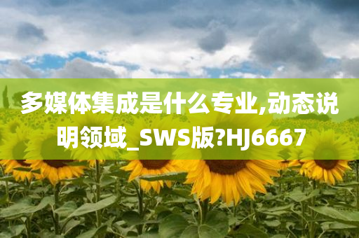 多媒体集成是什么专业,动态说明领域_SWS版?HJ6667