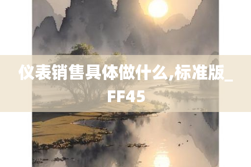 仪表销售具体做什么,标准版_FF45